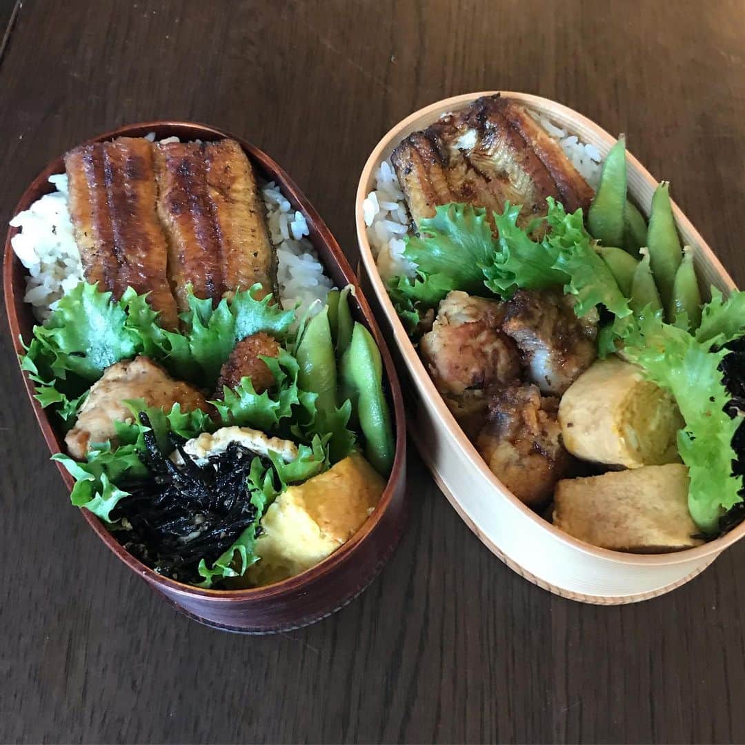 榊ゆりこさんのインスタグラム写真 - (榊ゆりこInstagram)「よくわからないですが突然お弁当DAYです。お弁当🍱いつもの茶色いやつです😆 息子リクエストの鰻を入れました。茶色が増してます😵💦 #ワッパ弁当 #茶色い弁当#鰻#なぜ今日は弁当」6月13日 6時49分 - yuricosakaki