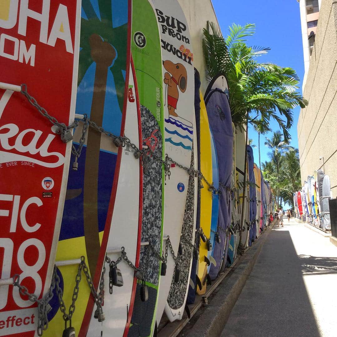 のインスタグラム：「いつもカラフルなサーフボードたちが出迎えてくれる﻿ ビーチへ抜ける道🌴﻿ どうしても写真を撮りたくなってしまうフォトスポットです😆﻿ ﻿ ﻿ ﻿ ﻿ ﻿ ﻿ #belleviehawaii #hawaii﻿ #waikiki #waikikibeach﻿ #aloha #honolulu﻿ #surfboard #tothebeach﻿ #hawaiilife #honoluluhawaii﻿ #ハワイ #ベルヴィー﻿ #ハワイ旅行 #ハワイ好き﻿ #ハワイ大好き #アロハ﻿ #サーフボード #ハワイ写真﻿ #ハワイ土産 #ハワイ雑貨﻿ #ワイキキ #ワイキキビーチ﻿ #ホノルル #ハワイ生活﻿ #ハワイ好きな人と繋がりたい」