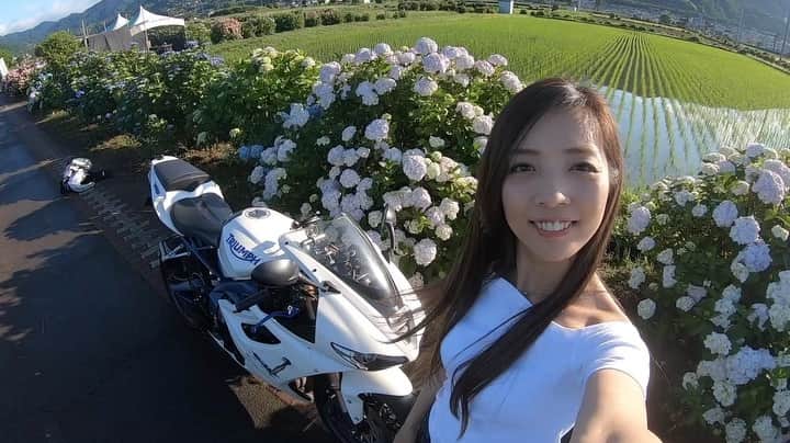のインスタグラム：「. . あじさい巡り〜🙌✨ . こっそりyoutube始めました🌟  あじさいまつりの様子をアップしてあります🙈 かなりゆるい動画ですが… 宜しければチャンネル登録お願いします😍🎶 トップ画面から飛べるよ🙋‍♀️ . I started youtube🤩 I can fly from the top screen🌟 Please subscribe to my channel！ . . #開成町あじさいまつり  #daytona675#triumph #triumphnation #mototeka  #motorcycle_moment  #bikersofinstagram  #motogirl #biker #bikelife  #bikelove #bikegirl #girlsbiker  #bikestagram #asiangirlrider  #supersport #supersportbikes  #bike_japan #motorcyclegirl #バイク女子  #ガールズバイカー #バイクのある風景  #バイクのある生活  #SS女子 #gopro #goproのある生活」