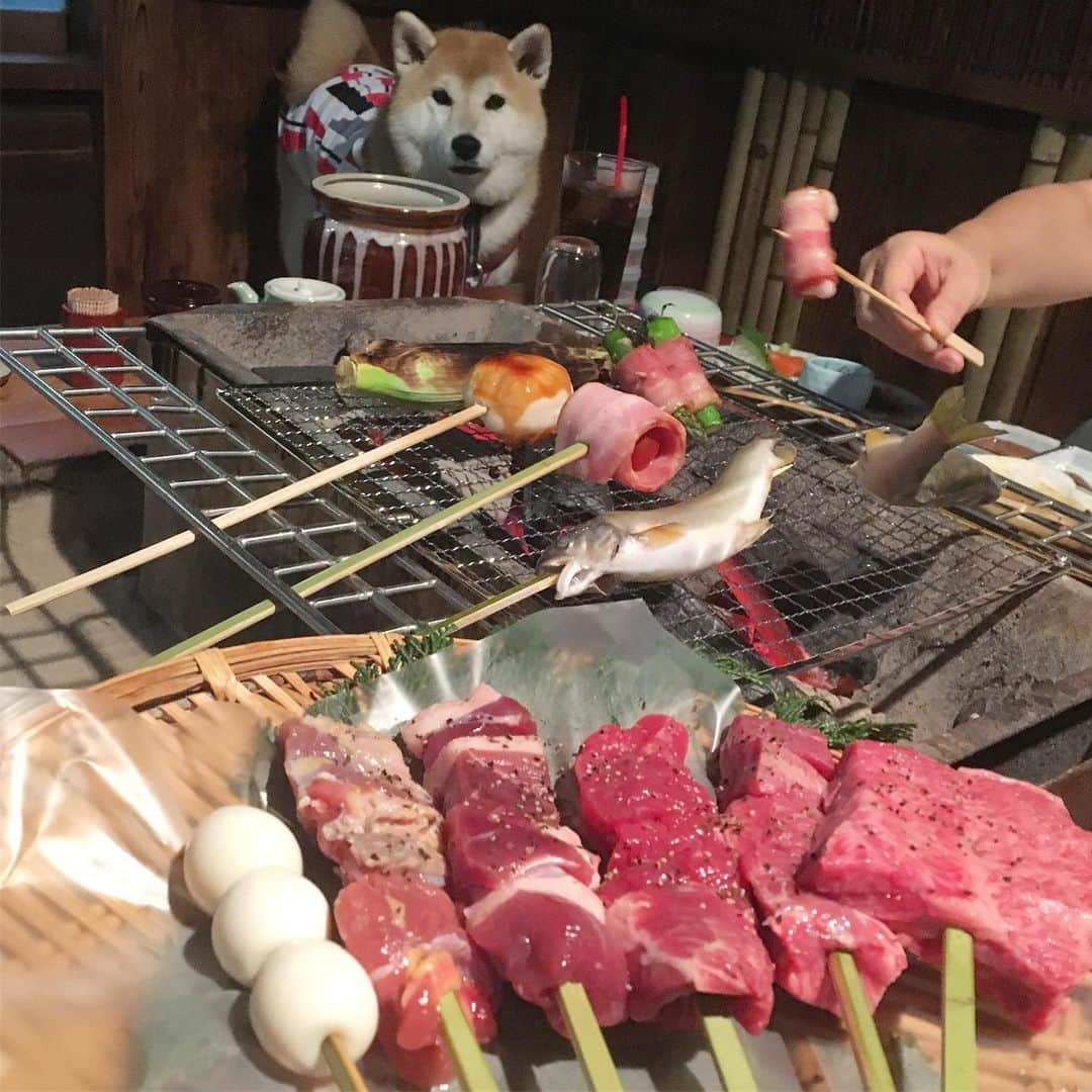 てんパパのグルメインスタ