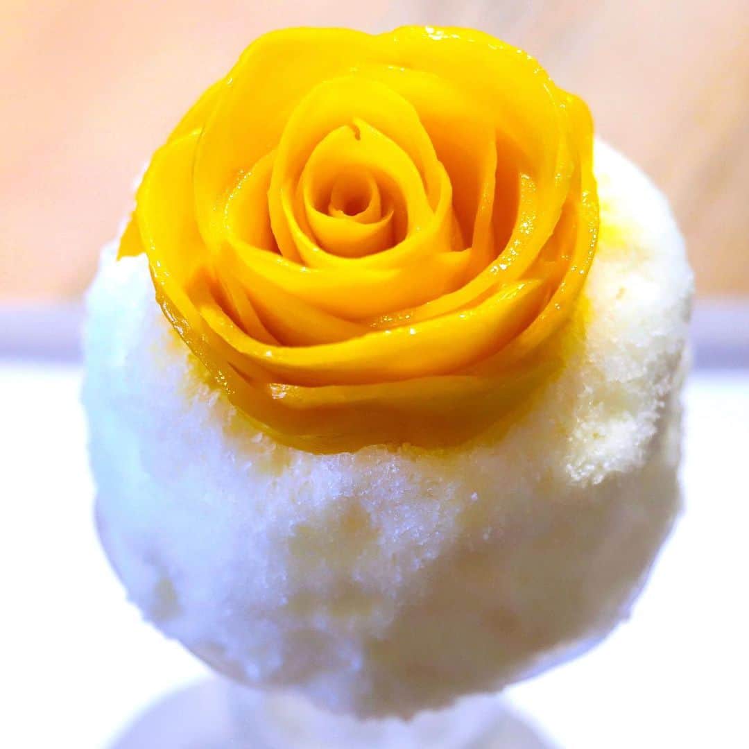 きょん。さんのインスタグラム写真 - (きょん。Instagram)「. .  にしのみや果汁店  @kajuuten  練乳かき氷の上に 大きく咲いた マンゴーフラワー。  瑞々しい と 瑞々しい の 相乗。  #にしのみや果汁店  #sweets#mango#shavedice」6月13日 7時18分 - kyon_tokiiro