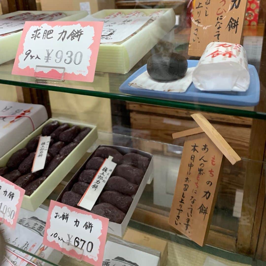 Alinoma公式さんのインスタグラム写真 - (Alinoma公式Instagram)「ㅤ ■ぐっぴー×Alinomaのぽっちゃりあるある ㅤ 何でも食べたい byぐ。 @gupitaro ㅤ 『ぽっちゃりモデルさんとぐっぴーが行くが鎌倉散策』Vol.4 ㅤ お散歩の途中で立ち寄ったのは、鎌倉最古の老舗、創業なんと300年の和菓子屋『力餅家』さん。 疲れた体に染み入るあんこの甘さは、添加物不使用の本物の美味しさでした。 ㅤ 今回いただいたのは、名物の『権五郎力餅』10ケ入り　670円 ㅤ 『力餅家』お店紹介 神奈川県鎌倉市坂の下18-18 営業時間：9時～18時 定休日：水曜日・第三火曜日（日曜営業） 江ノ島電鉄「長谷駅」から徒歩7分 ㅤ #アリノマ  #ぽっちゃり #大きいサイズ #鎌倉 #力餅家 ㅤ #alinoma #instagood #plussize #summer #plussizemodel #plussizefashion ㅤ #ぐっぴー #ぽっちゃり猫 #Domani専属モデル猫 #猫 #ネコ #ねこ #ねこ部 #ぐぴたろ #にゃんすたぐらむ #ぐっぴーアリノマコラボ #ぽっちゃりあるある」6月13日 7時55分 - alinoma_official