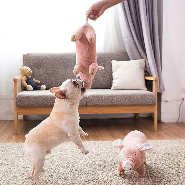 French Bulldogさんのインスタグラム写真 - (French BulldogInstagram)「This four feet plush pig toy is ideal sleeping partner for your French Bulldog 🐷🐖🐽 Check the LINK IN OUR BIO 🔝🔝🔝 . . . . . #frenchbulldog #frenchbulldogpuppies #frenchbulldogs#frenchbulldogsofinstagram #frenchiestagram #dog#frenchies #bulldog#bulldogpuppy #frenchbulldogs #frenchieworld」6月13日 8時22分 - frenchie.world