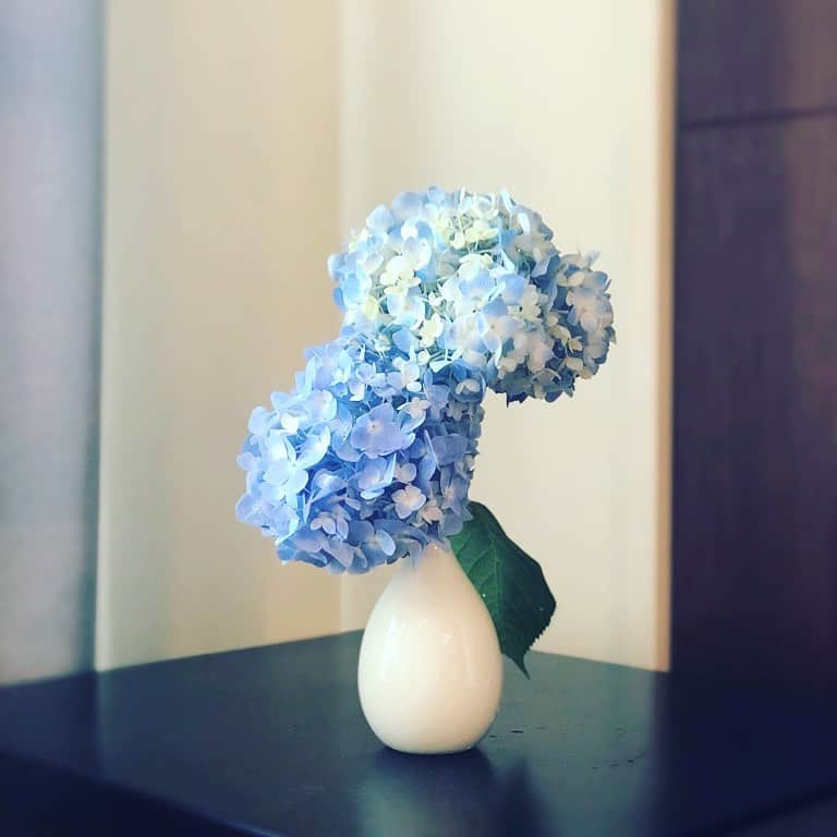 田中えみさんのインスタグラム写真 - (田中えみInstagram)「紫陽花の兄弟。 かわいい。 . 深呼吸。深呼吸。 . #紫陽花 #一輪挿し #梅雨 #お花」6月13日 9時02分 - emiitanakaa