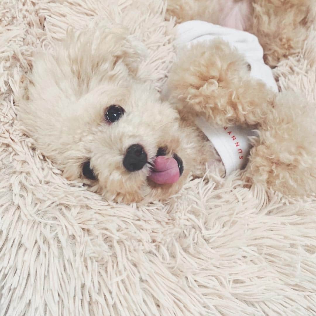 mizuのインスタグラム：「😛♡」