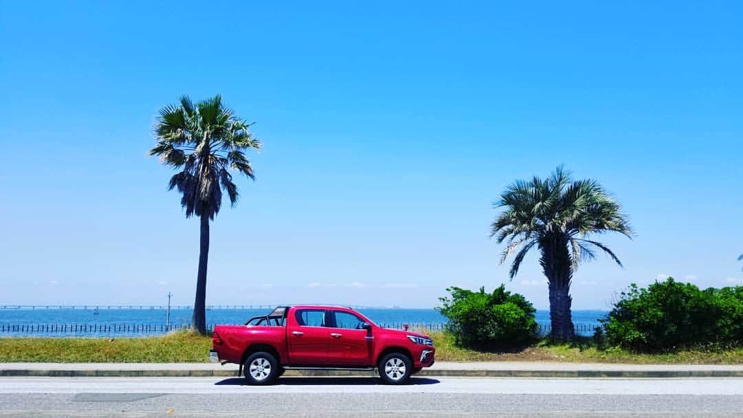 TokyoToyopet Girl meets carのインスタグラム