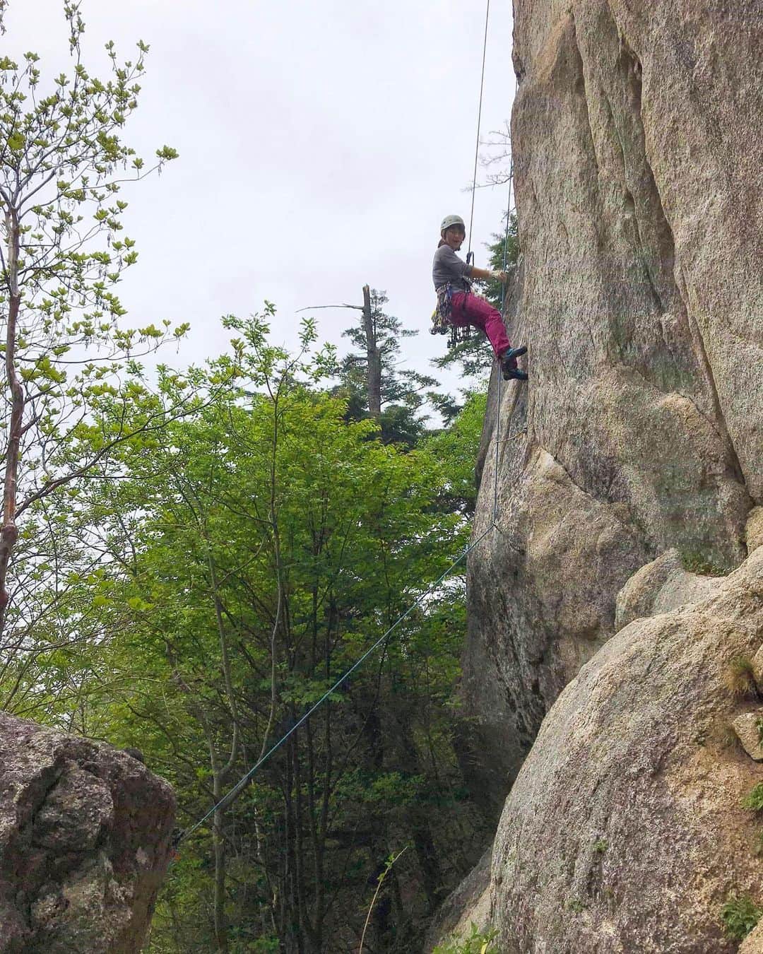 植田夢月のグルメインスタ
