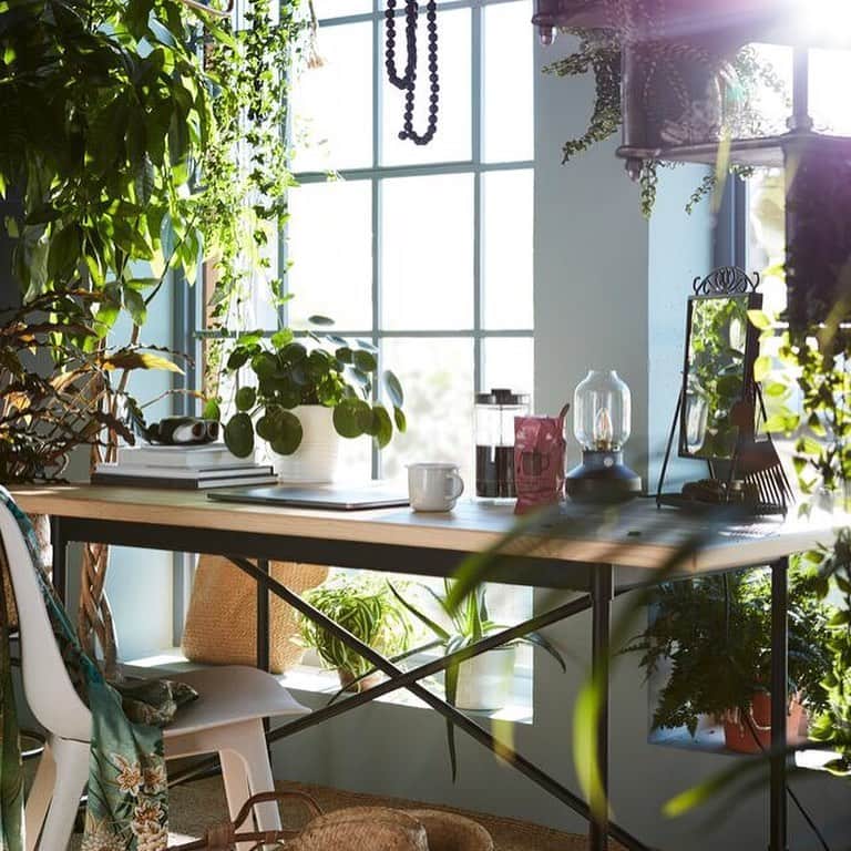 IKEA JAPANさんのインスタグラム写真 - (IKEA JAPANInstagram)「ベッドルームの窓辺にグリーンをたくさん取り入れて、さわやかな朝を迎えませんか？ ﻿ ﻿ 緑に囲まれて淹れたてのコーヒーを楽しみながら、その日の計画を立てれば、すっきりとした気持ちで1日をスタートできますよ。 ﻿ ﻿ 詳しくは、プロフィールリンクのアイデアページでチェック💡 ﻿ ﻿ #IKEA #ikeajapan #イケア #朝 #朝活 #グリーン #ベッドルーム」6月13日 11時58分 - ikeajapan