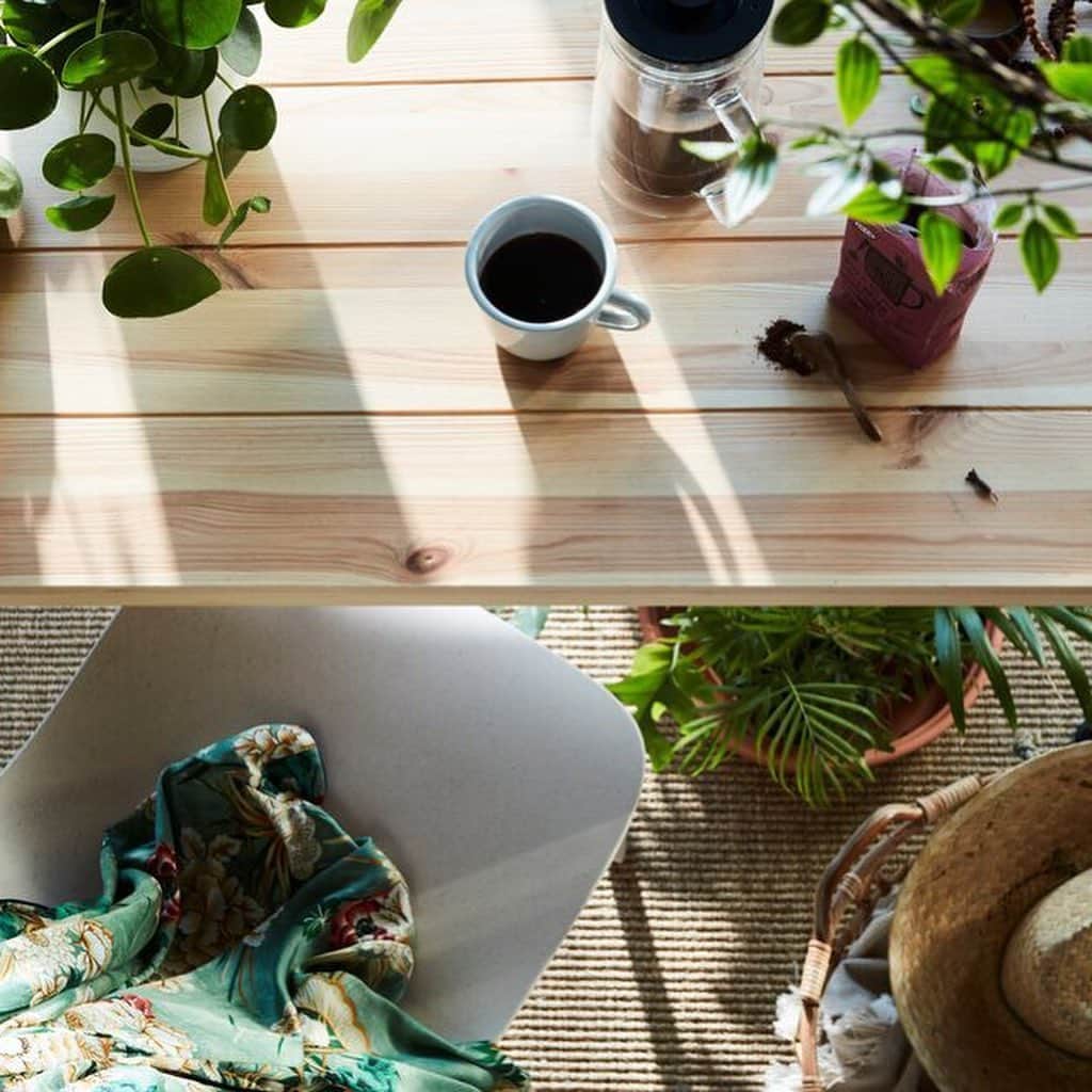 IKEA JAPANさんのインスタグラム写真 - (IKEA JAPANInstagram)「ベッドルームの窓辺にグリーンをたくさん取り入れて、さわやかな朝を迎えませんか？ ﻿ ﻿ 緑に囲まれて淹れたてのコーヒーを楽しみながら、その日の計画を立てれば、すっきりとした気持ちで1日をスタートできますよ。 ﻿ ﻿ 詳しくは、プロフィールリンクのアイデアページでチェック💡 ﻿ ﻿ #IKEA #ikeajapan #イケア #朝 #朝活 #グリーン #ベッドルーム」6月13日 11時58分 - ikeajapan