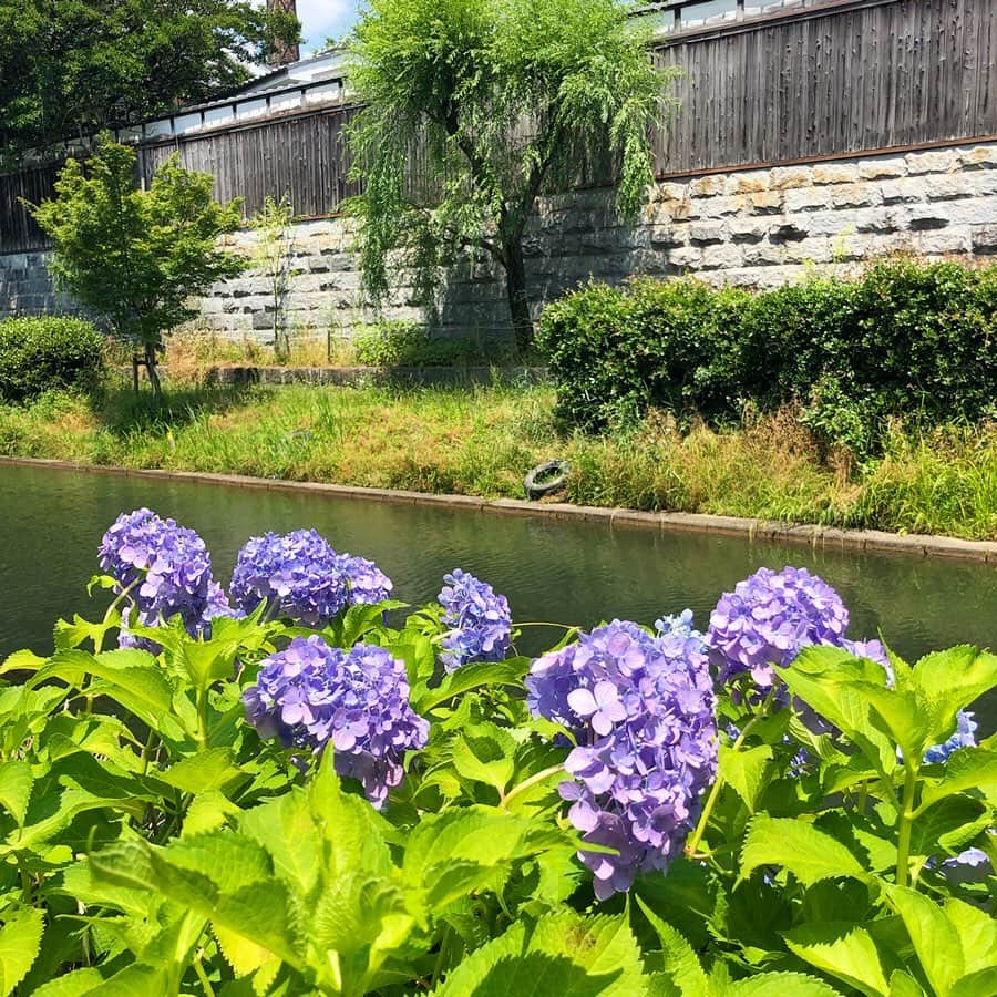 木村涼子さんのインスタグラム写真 - (木村涼子Instagram)「2019.6.6 お気に入りの散歩道。 この町とももうすぐお別れです。 #十石舟 #酒蔵の町」6月13日 11時59分 - kimuryou
