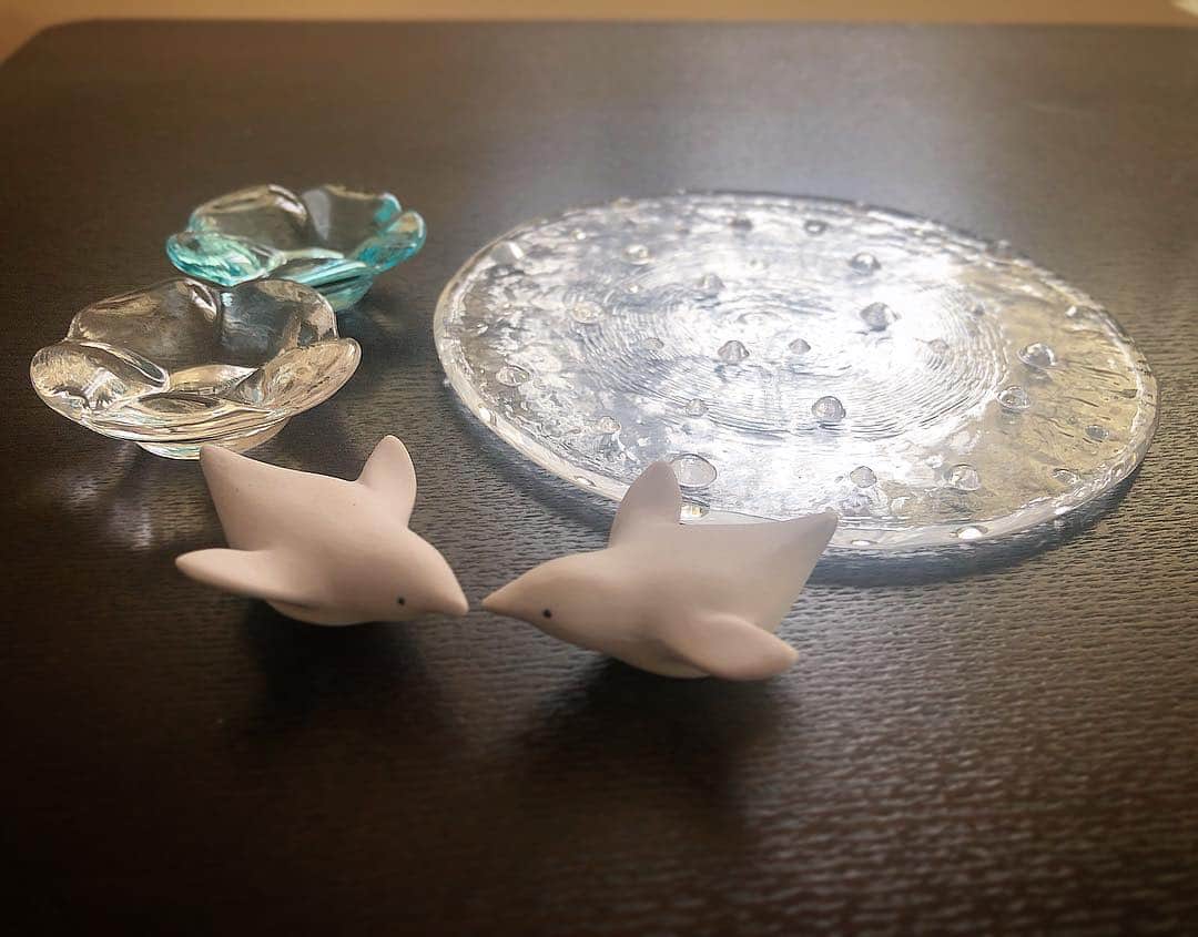 島津咲苗さんのインスタグラム写真 - (島津咲苗Instagram)「誕生日に、 ゆいさん(@yui_inoue_nbn )にいただいた ガラスのお皿と箸置き🌼  そして、同期に貰った ペンギンの箸置き🐧  可愛いなぁ。 見ているだけで涼しい気分になります😌  #食器 #箸置き #ガラス食器 #プレゼント」6月13日 12時14分 - sanae_shimazu