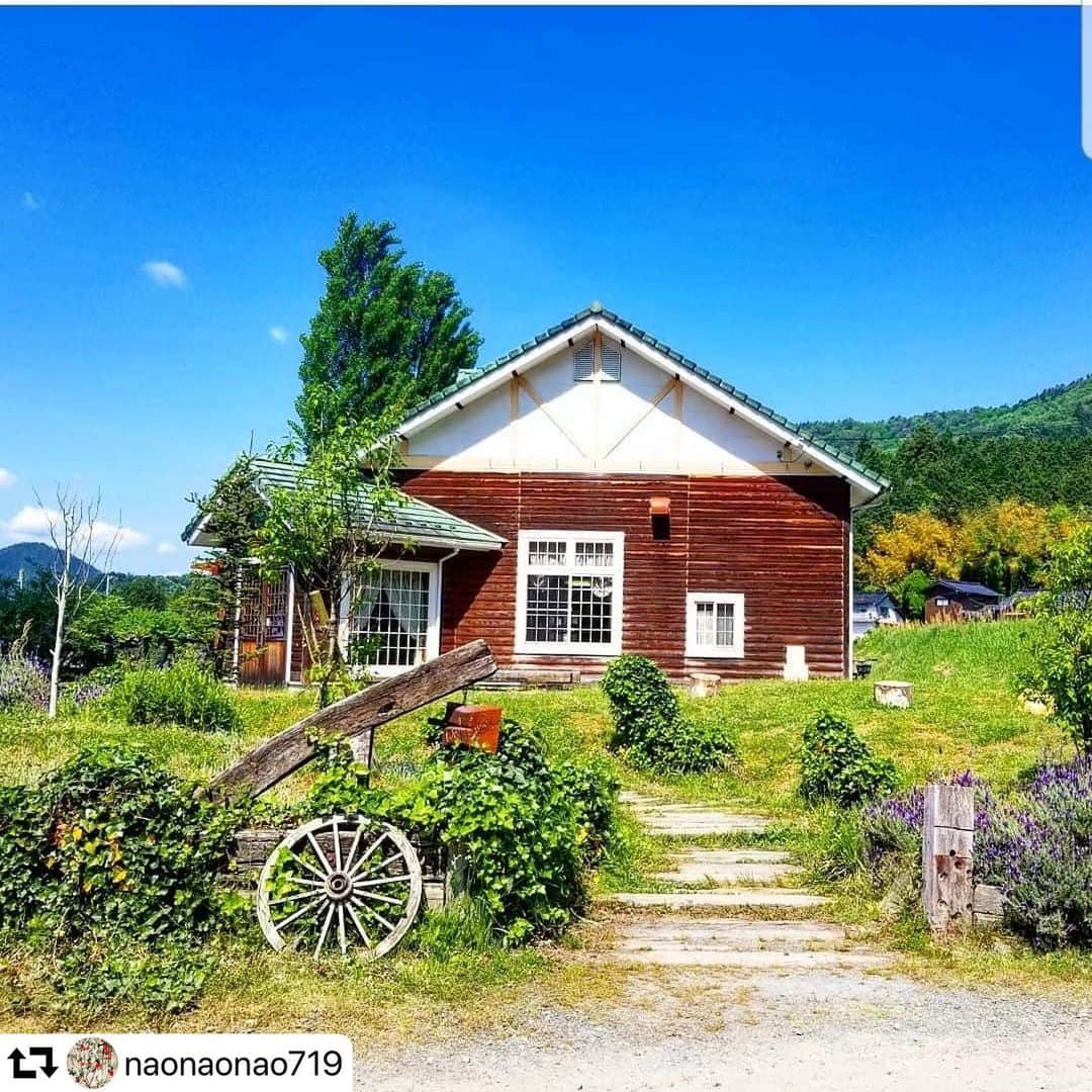 関西LIFE－homelife－さんのインスタグラム写真 - (関西LIFE－homelife－Instagram)「【兵庫県・朝来市】 #homelife_兵庫 では兵庫のいいところを紹介していきます。みなさんの大好きな兵庫を教えてください。 . . 【あいす工房　らいらっく】のスイーツを紹介してくれたのは、 @naonaonao719 さん。 ログハウス風の建物と大自然のゆったりとした雰囲気のなか味わうジェラートは格別ですよね！旬の素材を使用した美味しそうなフレーバーがたくさんあるので、選ぶのに困ってしまいますね…！ （photo by @naonaonao719 ） . #Repost ・・・ . . #あいす工房 #らいらっく #ジェラート #ジェラート専門店 #アイス #暑い #カフェ #インスタ映え #スイーツ #兵庫スイーツ #デザート #兵庫カフェ #兵庫グルメ #朝来 #朝来カフェ #田園風景 #大自然 #テラス席 #観光 #旅行 #japan #japantrip #japantrip2019 #hyogo」6月13日 12時32分 - archihome_local