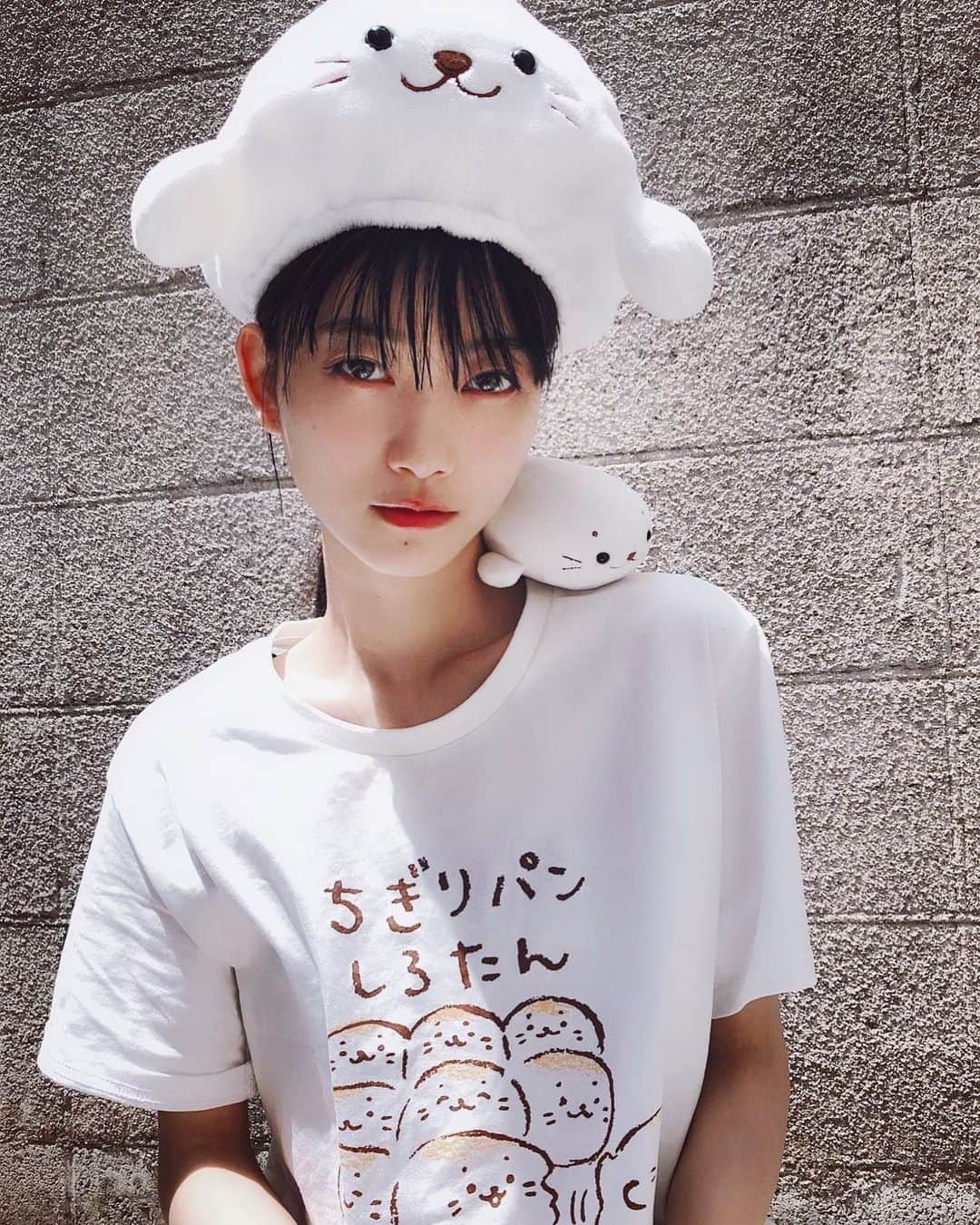 阿知波妃皇のインスタグラム：「なんかキメ顔みたいになっちゃって性別不明だけどしろたんグッズどんどん増えてきたよ(^｡^) #しろたん #しろたん好きと繋がりたい」