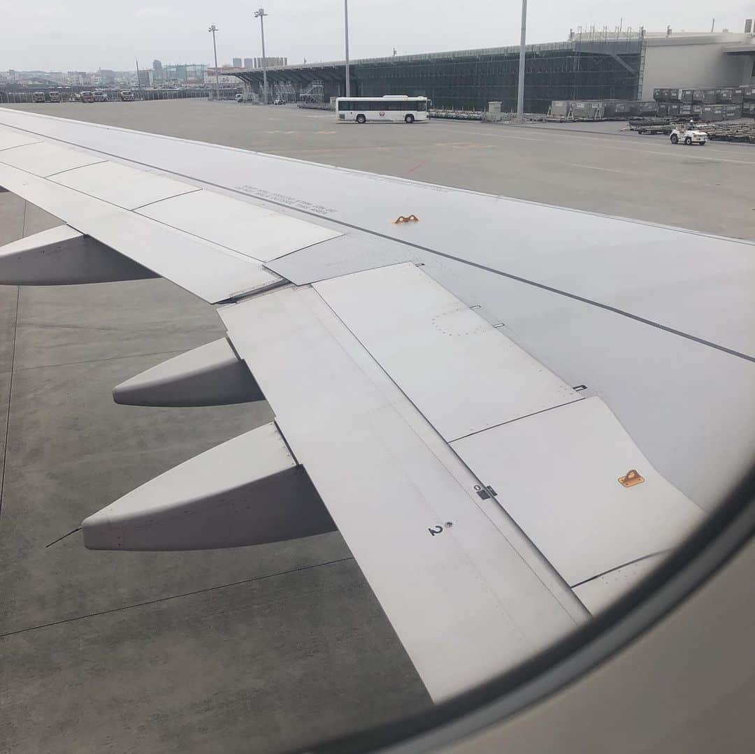 REIJIさんのインスタグラム写真 - (REIJIInstagram)「また地獄の2時間半が始まる。頼むよピーチ。そして案内前に機内で使おうと思ってイヤホンをカバンから取り出して用意して席に着いたら失くなってた。乗る途中のどこかで落としたらしい。あーもうやだ。  #飛行機怖い」6月13日 13時30分 - reiji_kimura