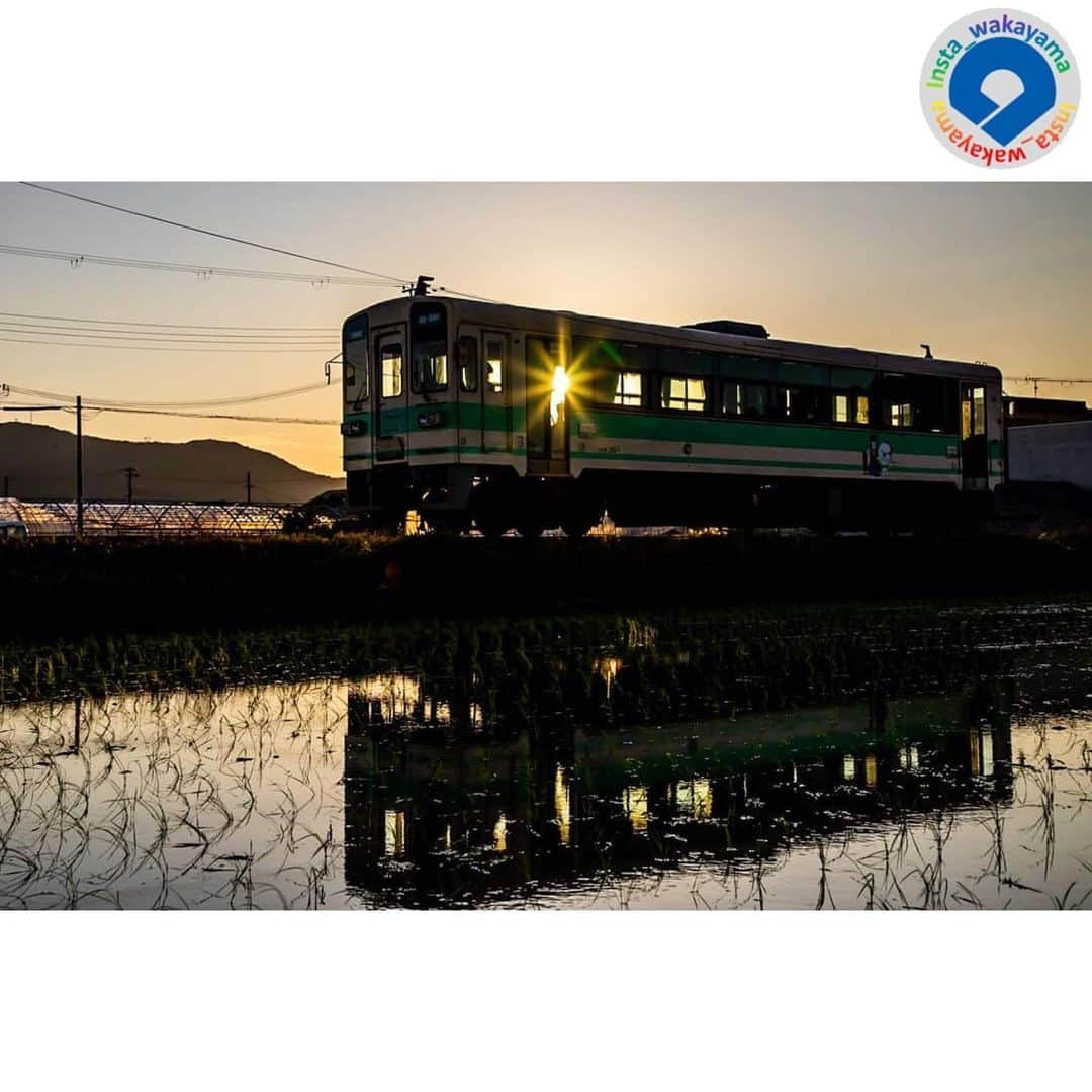 和歌山県さんのインスタグラム写真 - (和歌山県Instagram)「Insta_Wakayamaでは、皆さんがハッシュタグをつけて投稿してくださった写真から、素敵な写真をご紹介させていただきます！ 本日のピックアップは @shojitaki さんのお写真です☆ ハッシュタグご利用ありがとうございますm(_ _)m  こちらは、御坊市の水田のそばを走り抜ける紀州鉄道のお写真です😃 御坊駅と西御坊駅を結ぶ紀州鉄道は、営業距離2.7キロメートルの日本一短いローカル私鉄です。時速20数キロでトコトコ走る姿を一目見ようと、全国から鉄道ファンが訪れます。また、途中の「学門駅」のお守り切符は、受験生の心強い縁起物として大人気なのだそうです。 参考：http://www.city.gobo.wakayama.jp/kanko/kankou/miru_asobu/1395033338530.html （御坊市HP）  @insta_wakayama では、引き続き #グッドトリップ和歌山 投稿キャンペーンを開催中です！ 和歌山県の素敵なお写真を投稿していただいた方々の中から、毎月5名様に1万円をプレゼント🎁します！ 詳しくは @insta_wakayama のプロフィールにあるURLをチェックしてください。  和歌山に関する投稿にはぜひ「 #insta_wakayama 」ハッシュタグをつけてください🎉 また、写真の場所の記載や位置情報の登録をしていただければ幸いです🎵 和歌山の魅力を皆さんで発信していきましょう！  #紀州鉄道 #ローカル鉄道 #ひだかさんぽ #鉄道写真 #日本一短い鉄道 #田植え #恋するひだか #田園風景 #御坊市 #和歌山県 #観光和歌山 #wakayama #なんて素敵な和歌山なんでしょう  #insta_wakayama #wakayamagram #instameet_wakayama  #nagomi_wakayama #visitwakayama」6月13日 13時35分 - insta_wakayama