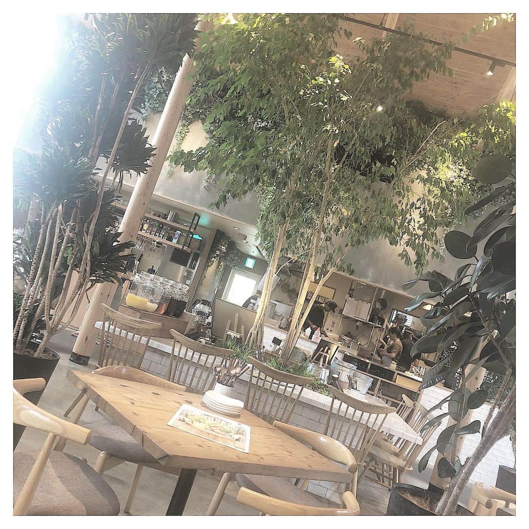 清家麻里奈のインスタグラム：「こないだ教えていただいた三田のフルーツフラワーパークの所にあるお洒落カフェへ🍰✨ご飯もスイーツも美味しかった💗緑が多くてゆったりリラックスできる🌿  #三田 #三田カフェ #お洒落カフェ #dayskitchen #カフェ #cafe #カフェ好きな人と繋がりたい #三田ランチ」