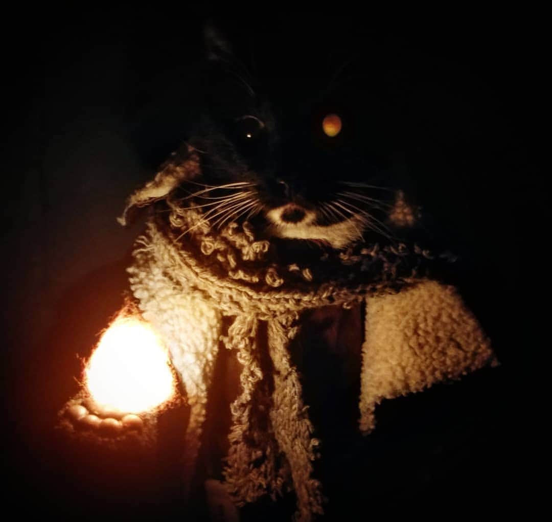 猫コスプレさんのインスタグラム写真 - (猫コスプレInstagram)「In the end, Time is the fire in which we all burn.  #CriticalRole #CalebWidogast . . . . . . . . . #Caleb #calebcosplay #calebwidogastcosplay #calebwidogastfanart #criticalcosplay #critters #criticalrolefanart #DungeonsAndDragons #dnd #wizard #catcostume #CatCosplay #cosplay #photography #lighting」6月13日 23時37分 - cat_cosplay