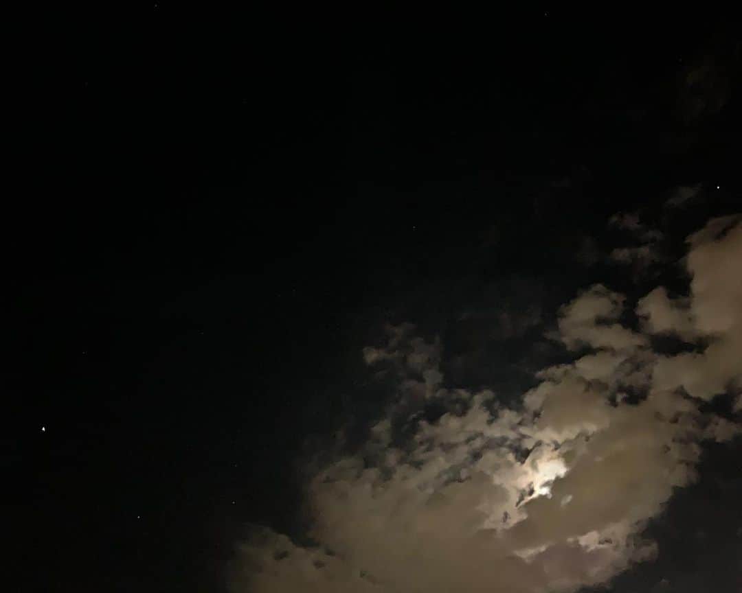 眞家泉さんのインスタグラム写真 - (眞家泉Instagram)「✦ 毎日、勉強だなぁ。 おもしろいなぁ。 木星がとても明るい✶ . #空 #夜空 #木星」6月13日 23時42分 - maie_izumi