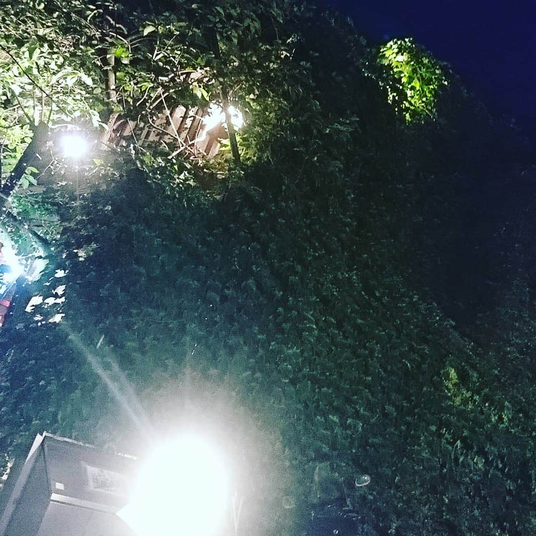 βさんのインスタグラム写真 - (βInstagram)6月13日 23時43分 - thanke311