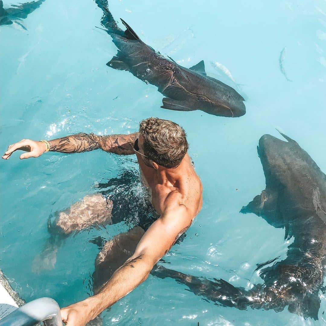 ラルフ・フェールマンのインスタグラム：「Nicht das erste Haifischbecken🦈 in das ich mich begeben habe😜 aber diesmal war es das offene Meer...🦈」
