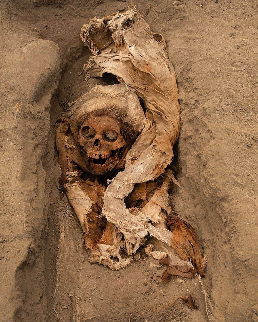 Robert Clarkさんのインスタグラム写真 - (Robert ClarkInstagram)「A child perhaps in his or her early teens rests in a mass burial site of #PampalaCruz on the arid coast of northern #Peru. They are among the 269 children who were sacrificed and buried around 1450 CE at two sites near #ChanChan, the ancient capital of the #Chimú people. Most of the victims were killed with a cut to the chest, possibly to remove the heart, and buried in simple shrouds.  Gabriel Prieto, #GabrielPrieto a professor of #archaeology from the National University of #Trujillo, peers into the grave and nods. “Ninety-five,” he announces. He’s keeping a running tally of victims, and this one, labeled E95, is the 95th dug up since he first began investigating the mass burial site in 2011. The grim count from this and a second sacrifice site nearby will ultimately add up to 269 children between the ages of five and 14 and three adults. All of the victims perished more than 500 years ago in carefully orchestrated acts of ritual sacrifice that may be unprecedented in world history. “This is something completely unexpected,” exclaims Prieto, shaking his head in bewilderment. The words have become a kind of mantra as the archaeologist and father struggles to make sense of the harrowing discovery at a site called Huanchaquito-Las Llamas. In our time and culture, the violent death of even one child rends all but the most callous hearts, and the specter of mass murder horrifies every healthy mind. And so, we wonder: What desperate circumstances might account for an act that’s unthinkable to us today? Words by @natgeo Shot on assignment for @natgeo」6月13日 23時58分 - robertclarkphoto