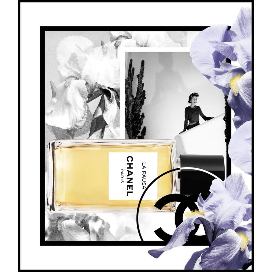 シャネルさんのインスタグラム写真 - (シャネルInstagram)「Discover the summer scents from LES EXCLUSIFS DE CHANEL fragrance collection. The green, aromatic accord of galbanum and rosemary in BEL RESPIRO. The delicate and powdery nuances of iris pallida in LA PAUSA. The elegance of EAU DE COLOGNE, with shades of mandarin, bergamot and a whisper of neroli. Fresh and bucolic notes. #LesExclusifsDeChanel #ChanelFragrance」6月14日 0時47分 - chanelofficial