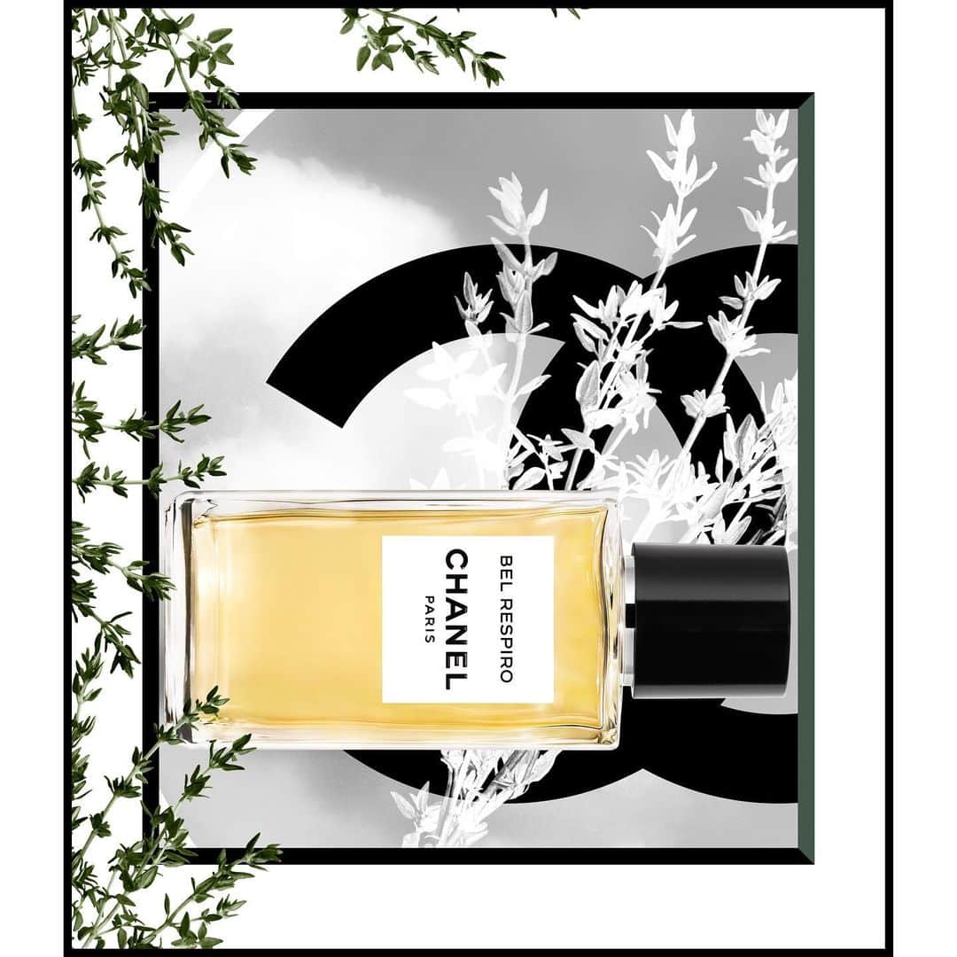 シャネルさんのインスタグラム写真 - (シャネルInstagram)「Discover the summer scents from LES EXCLUSIFS DE CHANEL fragrance collection. The green, aromatic accord of galbanum and rosemary in BEL RESPIRO. The delicate and powdery nuances of iris pallida in LA PAUSA. The elegance of EAU DE COLOGNE, with shades of mandarin, bergamot and a whisper of neroli. Fresh and bucolic notes. #LesExclusifsDeChanel #ChanelFragrance」6月14日 0時47分 - chanelofficial