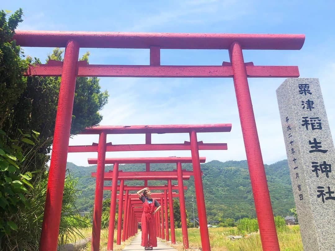 近藤夏子さんのインスタグラム写真 - (近藤夏子Instagram)「電車と鳥居のコラボです⛩🚃 粟津稲生神社✨ なんと、参道の途中に線路があるという🛤すごいところ✨ 一畑電車がタイミングよく通るとこんな写真が撮れますよ❤️ スペシャルサンクス 森谷佳奈 @kana_moritani  #粟津稲生神社 #鳥居 #一畑電車 #映えスポット #島根県 #遣島使 #一畑電車の旅 #生たまごbang #近藤夏子の島根っここ行きんさい」6月13日 15時59分 - kondonatsuko