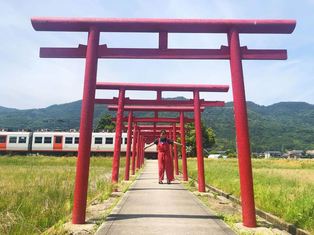 近藤夏子さんのインスタグラム写真 - (近藤夏子Instagram)「電車と鳥居のコラボです⛩🚃 粟津稲生神社✨ なんと、参道の途中に線路があるという🛤すごいところ✨ 一畑電車がタイミングよく通るとこんな写真が撮れますよ❤️ スペシャルサンクス 森谷佳奈 @kana_moritani  #粟津稲生神社 #鳥居 #一畑電車 #映えスポット #島根県 #遣島使 #一畑電車の旅 #生たまごbang #近藤夏子の島根っここ行きんさい」6月13日 15時59分 - kondonatsuko