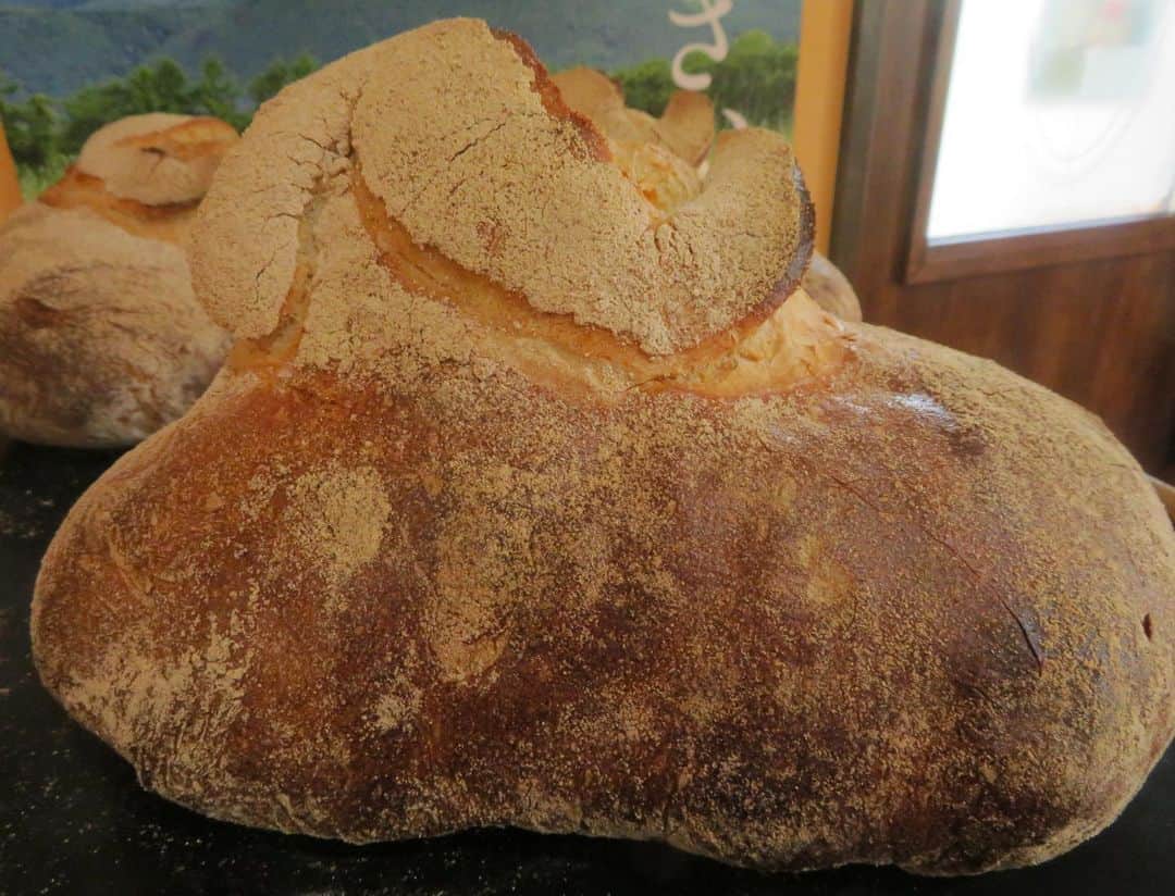 魔女菅原のグルメインスタ