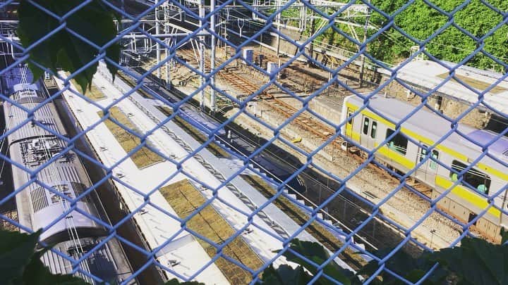 浅田信一のグルメインスタ