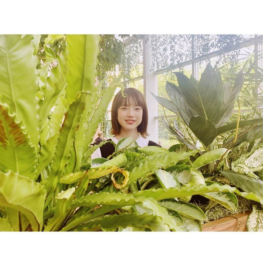 林美桜さんのインスタグラム写真 - (林美桜Instagram)「EX GARDEN CAFEにて🍀🌱🌿☘️🍀 弘中さんに癒されました🥺 . 2枚目、弘中さんの透明感と私の夏本番前にすでにがっつり日焼けしている感の差がすごい☺️5度見はしました。 . 「今夜のテレ朝は？」ぜひ見かけてください😊 . #今夜のテレ朝は #EXGARDENCAFE #テレビ朝日」6月13日 17時03分 - miou0hayashi