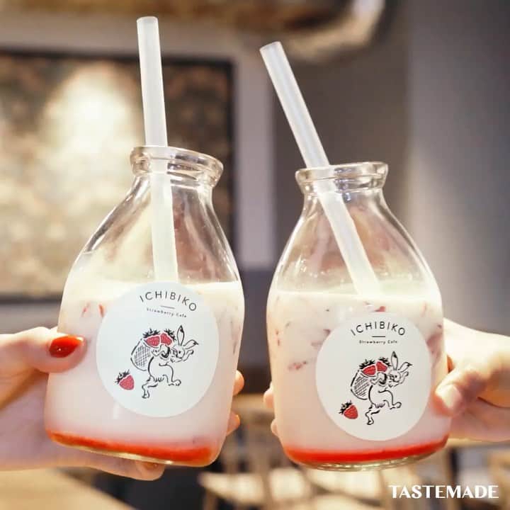 テイストメイドのグルメインスタ