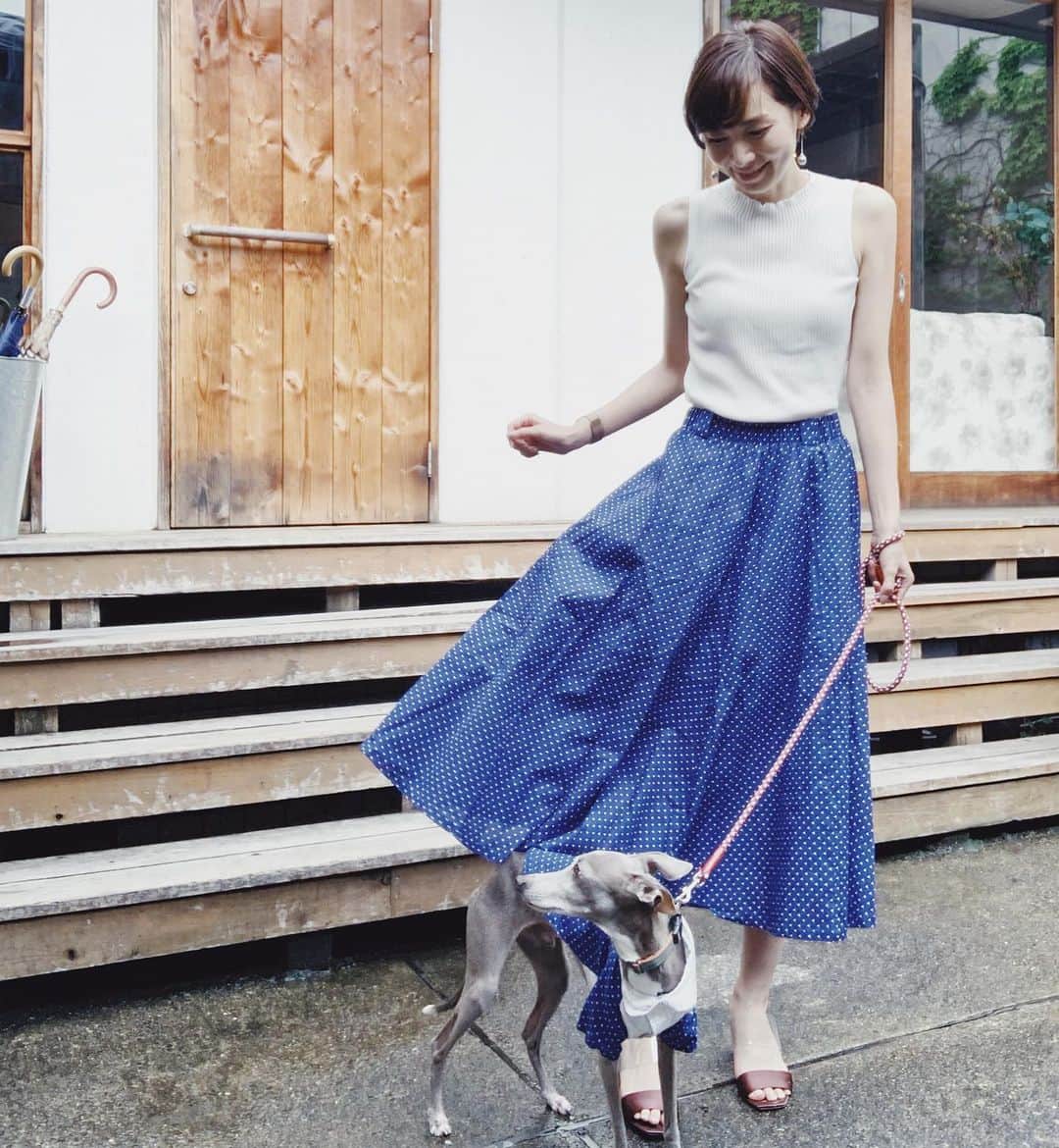 簑島宏美さんのインスタグラム写真 - (簑島宏美Instagram)「* ******** Lunch time just two of us.💁‍♀️🐶 * 🍽→@nandohwl5bangai  とても居心地の良いテラス席。 ハウルはお手をしてランチのお裾分けを狙っています😳 この日は、お揃いの服をきっかけに、たくさんの方とお話が出来ました☺️✨ 家族や友人と離れていても、寂しさを感じずに過ごせているのは、ハウルと、ハウルをきっかけに話しかけてくださる優しい方々のおかげです😭✨ ハウルに会えて癒される〜と言ってくださる方々に、私のほうこそ癒されています☺️❤️ ******** #イタグレ#イタリアングレーハウンド#italiangreyhound#dogstagram#イタグレとの暮らし#iggy#iggygram #iggylove#iggylife#いぬのいる暮らし#犬のいる暮らし#いぬバカ部#イタグレ服#iggysoftheworld #iggysofinstagram #dogsofig #dogsofinstagram #プチプラコーデ #犬好きな人と繋がりたい#オシャレさんと繋がりたい#犬服ハンドメイド#リンクコーデ#大分県#oita#おんせん県#おんせん県おおいた#おんせん犬おおいた #oitagram#oitaprefecture」6月13日 17時56分 - hiromiminoshima