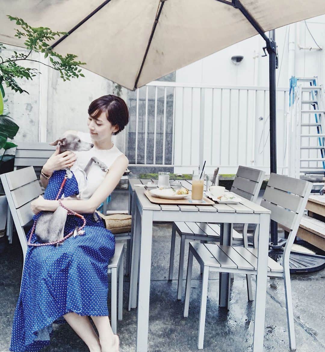 簑島宏美さんのインスタグラム写真 - (簑島宏美Instagram)「* ******** Lunch time just two of us.💁‍♀️🐶 * 🍽→@nandohwl5bangai  とても居心地の良いテラス席。 ハウルはお手をしてランチのお裾分けを狙っています😳 この日は、お揃いの服をきっかけに、たくさんの方とお話が出来ました☺️✨ 家族や友人と離れていても、寂しさを感じずに過ごせているのは、ハウルと、ハウルをきっかけに話しかけてくださる優しい方々のおかげです😭✨ ハウルに会えて癒される〜と言ってくださる方々に、私のほうこそ癒されています☺️❤️ ******** #イタグレ#イタリアングレーハウンド#italiangreyhound#dogstagram#イタグレとの暮らし#iggy#iggygram #iggylove#iggylife#いぬのいる暮らし#犬のいる暮らし#いぬバカ部#イタグレ服#iggysoftheworld #iggysofinstagram #dogsofig #dogsofinstagram #プチプラコーデ #犬好きな人と繋がりたい#オシャレさんと繋がりたい#犬服ハンドメイド#リンクコーデ#大分県#oita#おんせん県#おんせん県おおいた#おんせん犬おおいた #oitagram#oitaprefecture」6月13日 17時56分 - hiromiminoshima