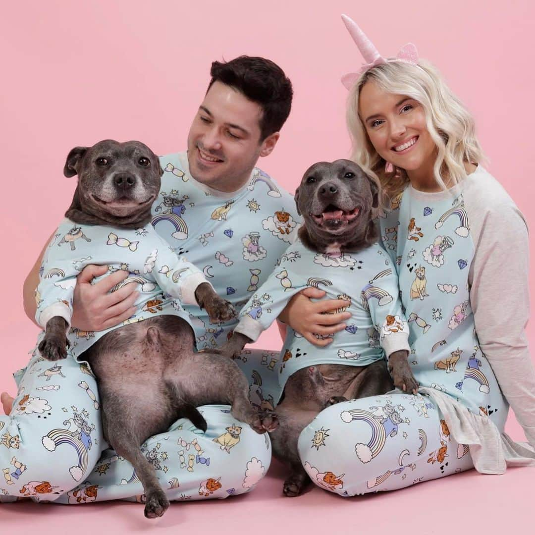 DARREN&PHILLIPさんのインスタグラム写真 - (DARREN&PHILLIPInstagram)「YOU GUYS! 😭😍😩 Stafficorns and Rainbows are LIVE! You can now match your dog, and your entire family!! 😍😭💖💖💖 Link in bio!」6月13日 18時00分 - the_blueboys