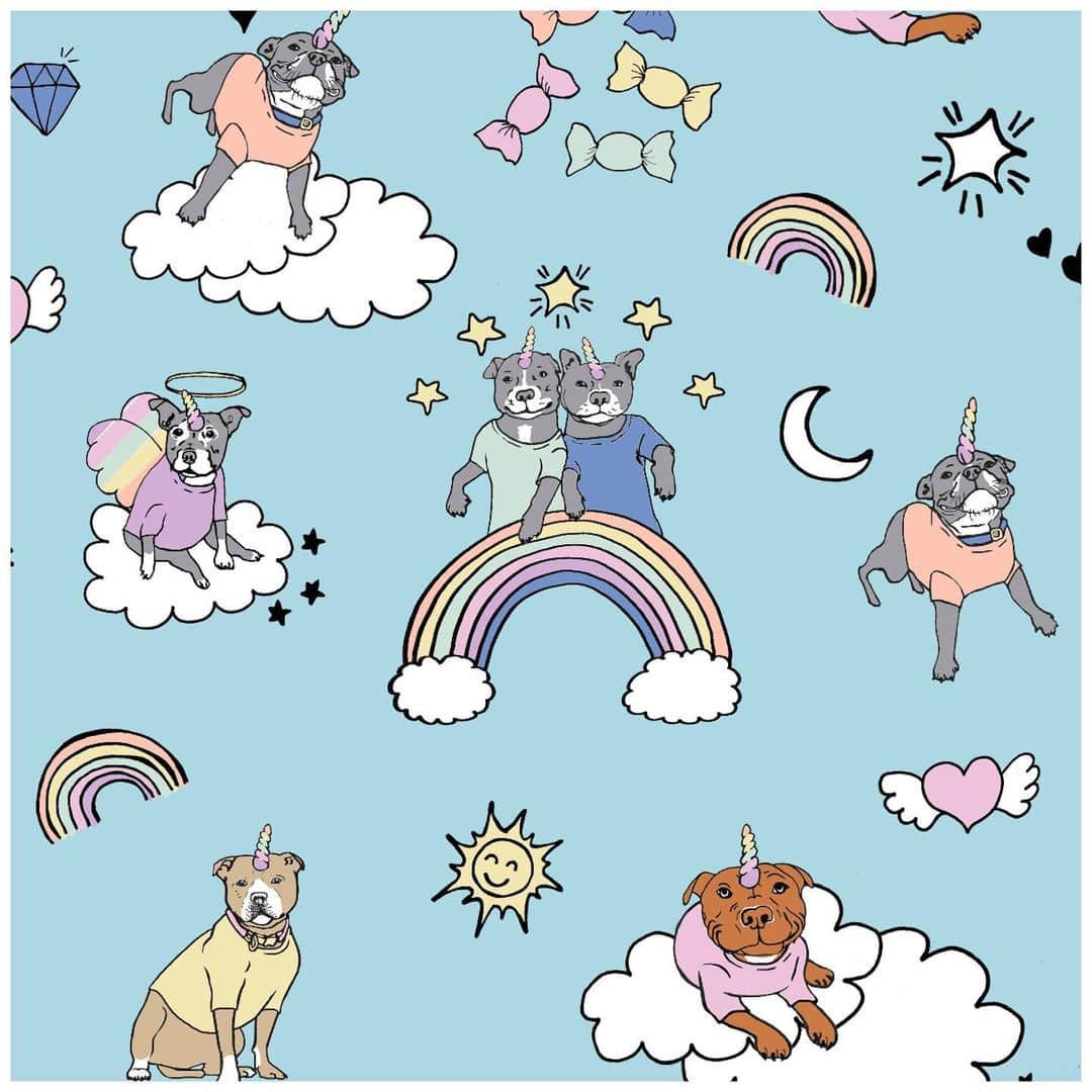 DARREN&PHILLIPさんのインスタグラム写真 - (DARREN&PHILLIPInstagram)「YOU GUYS! 😭😍😩 Stafficorns and Rainbows are LIVE! You can now match your dog, and your entire family!! 😍😭💖💖💖 Link in bio!」6月13日 18時00分 - the_blueboys