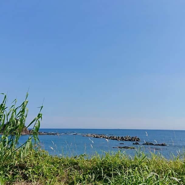 和田益典さんのインスタグラム写真 - (和田益典Instagram)「◆ 昨日見た「印南の海」 . 〽️ いなみの海の小さな島～♪ . . っと！ . 久しぶりにちゃんと海を見た気がする。 . . 海は良い！ . 太平洋は素晴らしい！ . シンプルな話だが、水平線を見ると 「地球におる！」 って感じがするよねー。 . . 何れの写真も、昼の移動中に助手席から撮った写真なので、アングルとか全部オワットルけど、まぁ雰囲気だけでも伝われば。 . . . #海 #海辺 #印南町 #印南 #和歌山 #紀州 #太平洋 #水平線 #船 #港 #漁港 #港町 #大海原 #r42 #国道42号線 #眺め #景色 #空 #sea #ocean #pacific #sky #port #porttown #ship #boat #smartphone #photo #view #japan . .」6月13日 18時03分 - masunori_wada
