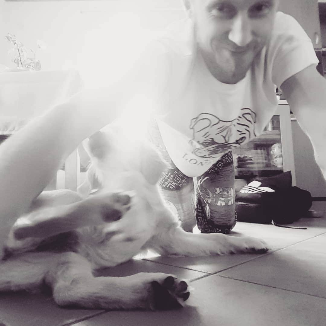 タービ・ラントさんのインスタグラム写真 - (タービ・ラントInstagram)「#dogsofinstagram#öed#oedband #goldenretriever」6月13日 18時18分 - taavirand