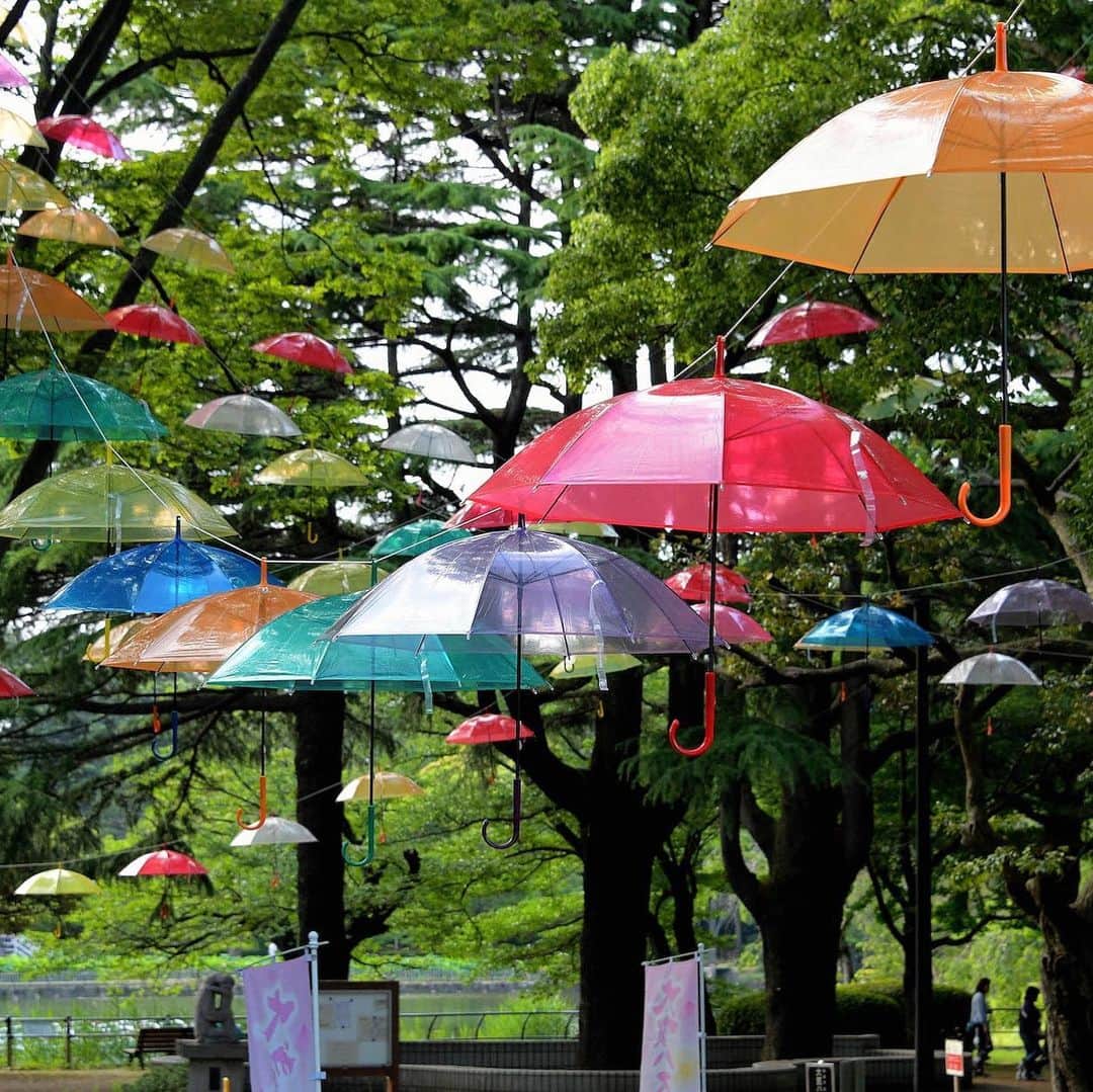The Japan Timesさんのインスタグラム写真 - (The Japan TimesInstagram)「June is the rainy season for most of Japan, and Chiba Prefecture is marking the changing weather with an "umbrella forest." The Tsubakimori Komuna community space in Chiba Park has hundreds of parasols hung up that add some color to the area. The umbrellas will be up until July 15. (@miura.yoshiaki photos) . . . . . . #Japan #Tokyo #Chiba #art #umbrella #travel #日本 #千葉 #千葉市 #椿森コムナ #アウトドア #アート #梅雨 #雨 #傘 #☂️」6月13日 18時25分 - thejapantimes