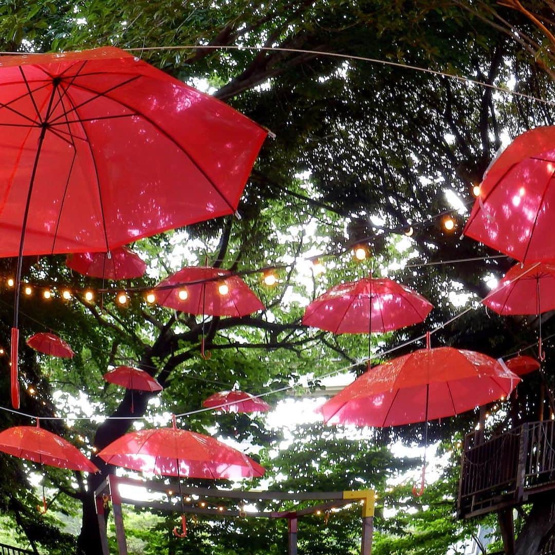 The Japan Timesさんのインスタグラム写真 - (The Japan TimesInstagram)「June is the rainy season for most of Japan, and Chiba Prefecture is marking the changing weather with an "umbrella forest." The Tsubakimori Komuna community space in Chiba Park has hundreds of parasols hung up that add some color to the area. The umbrellas will be up until July 15. (@miura.yoshiaki photos) . . . . . . #Japan #Tokyo #Chiba #art #umbrella #travel #日本 #千葉 #千葉市 #椿森コムナ #アウトドア #アート #梅雨 #雨 #傘 #☂️」6月13日 18時25分 - thejapantimes