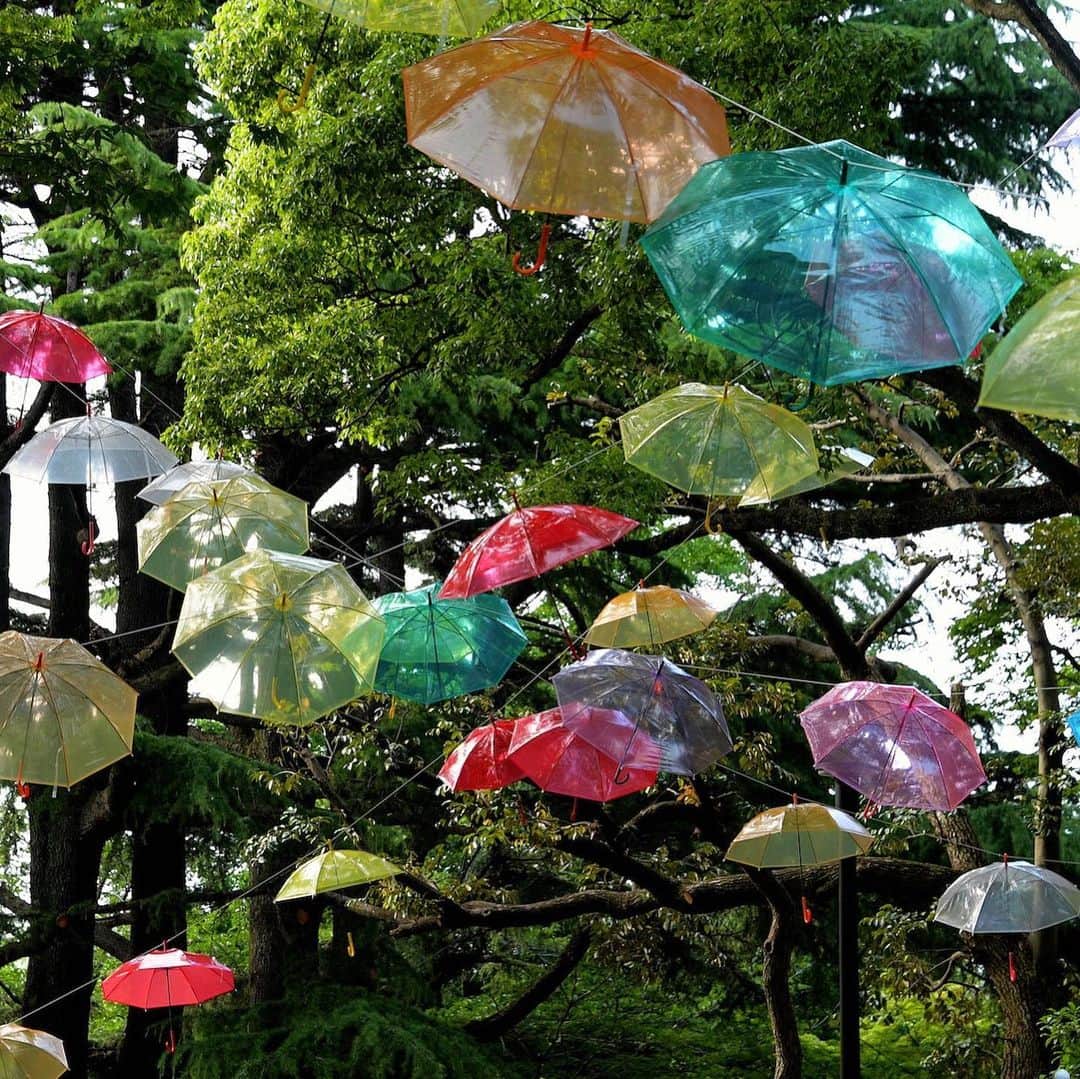 The Japan Timesさんのインスタグラム写真 - (The Japan TimesInstagram)「June is the rainy season for most of Japan, and Chiba Prefecture is marking the changing weather with an "umbrella forest." The Tsubakimori Komuna community space in Chiba Park has hundreds of parasols hung up that add some color to the area. The umbrellas will be up until July 15. (@miura.yoshiaki photos) . . . . . . #Japan #Tokyo #Chiba #art #umbrella #travel #日本 #千葉 #千葉市 #椿森コムナ #アウトドア #アート #梅雨 #雨 #傘 #☂️」6月13日 18時25分 - thejapantimes