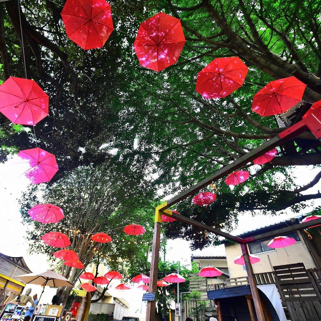 The Japan Timesさんのインスタグラム写真 - (The Japan TimesInstagram)「June is the rainy season for most of Japan, and Chiba Prefecture is marking the changing weather with an "umbrella forest." The Tsubakimori Komuna community space in Chiba Park has hundreds of parasols hung up that add some color to the area. The umbrellas will be up until July 15. (@miura.yoshiaki photos) . . . . . . #Japan #Tokyo #Chiba #art #umbrella #travel #日本 #千葉 #千葉市 #椿森コムナ #アウトドア #アート #梅雨 #雨 #傘 #☂️」6月13日 18時25分 - thejapantimes