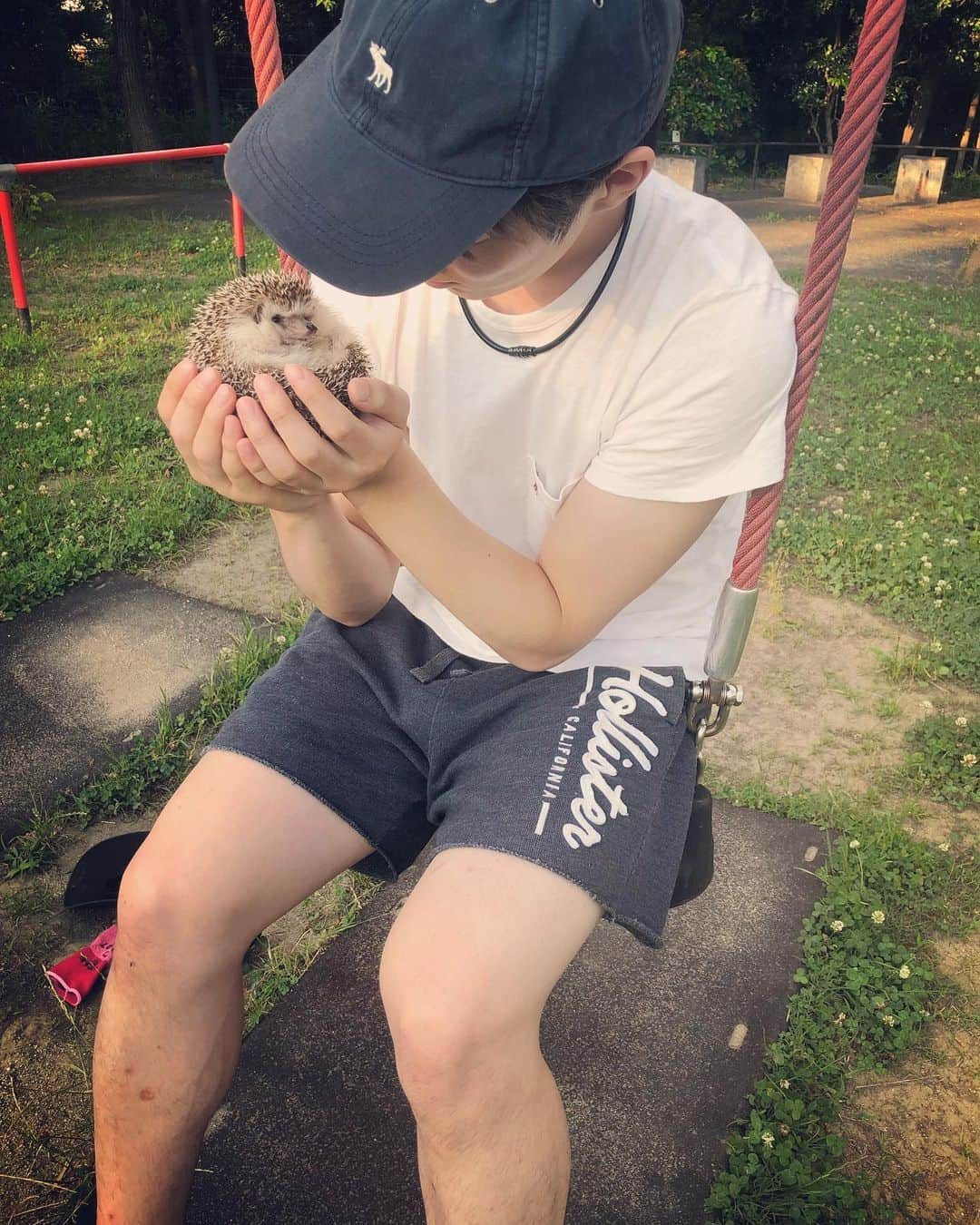 市橋翔哉さんのインスタグラム写真 - (市橋翔哉Instagram)「まめ太、初めてのお散歩🦔 (慣れてないから機嫌悪め)」6月13日 18時29分 - shoya1105