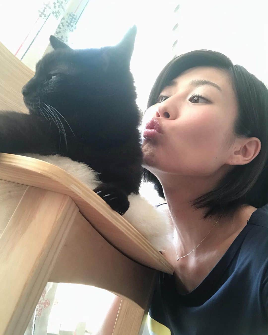 秋吉織栄（宮内かれん）さんのインスタグラム写真 - (秋吉織栄（宮内かれん）Instagram)「今日はいい感触でした。 三回笑いをとったど〜🙆‍♀️🙆‍♀️🙆‍♀️✨ 笑いを取るとオーディションにうかるのかはわかりませんが（笑） 『陽気ですね。 外国の血が流れているとか？？』 と、聞かれたので、、、 赤ワイン🍷があればイタリア人になれます🇮🇹と答えました。  祈り🤞✨ #cat  #猫  #猫のいる暮らし  #黒猫  #黒猫好きと繋がりたい  #猫好きな人と繋がりたい」6月13日 18時36分 - orie.oliiiiie.olivia