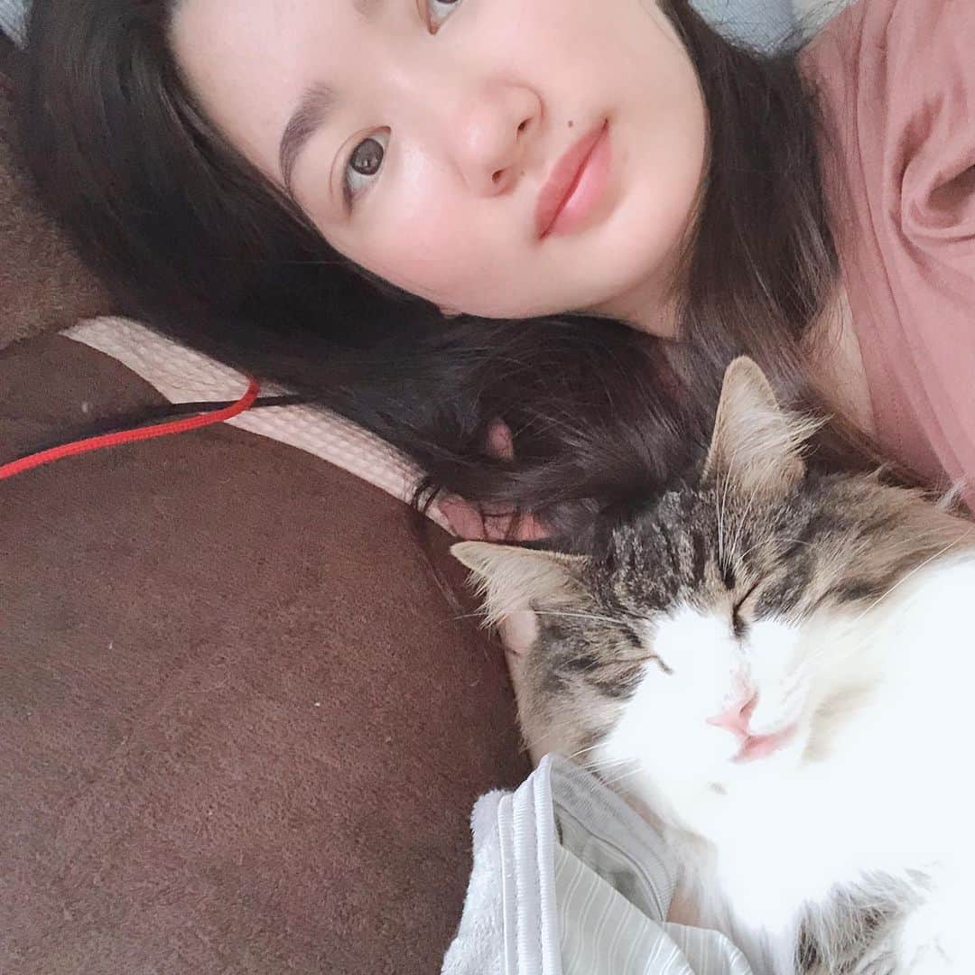 西平風香さんのインスタグラム写真 - (西平風香Instagram)「腕枕でお昼寝していたクロエさん。」6月13日 18時53分 - fuukanishihira
