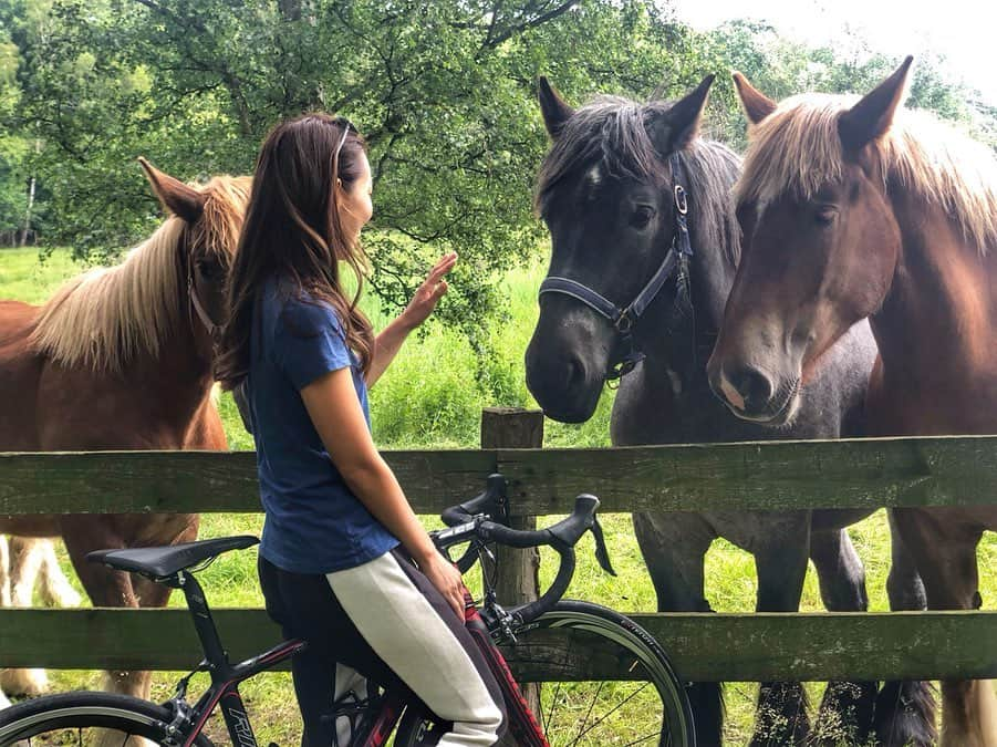 飯端美樹さんのインスタグラム写真 - (飯端美樹Instagram)「リカバリー途中お馬さん達に遭遇🐴🌿 可愛いけど動物怖いから、恐る恐る撫でてきた😂」6月13日 18時58分 - mikiiibata77