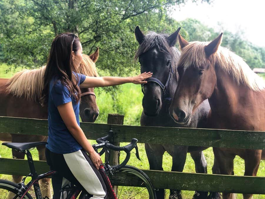 飯端美樹さんのインスタグラム写真 - (飯端美樹Instagram)「リカバリー途中お馬さん達に遭遇🐴🌿 可愛いけど動物怖いから、恐る恐る撫でてきた😂」6月13日 18時58分 - mikiiibata77