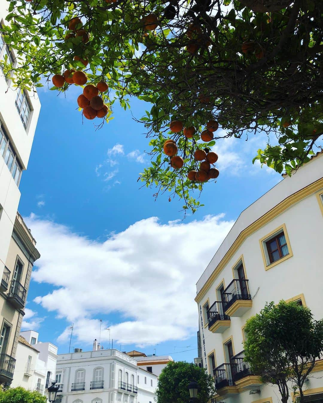 ハンネ・クレスさんのインスタグラム写真 - (ハンネ・クレスInstagram)「Some highlights of my lovely week in Spain (Malaga, Benalmádena, Gibraltar & Tarifa). 💃🏼 I only posted 10 pictures here but I would’ve liked to share over a 100.  Half of these are pictures of the beautiful scenery and the delicious food 🥘 and drinks we had (paella, sangria, jamón ibérico, tapas, churros,...) and the other half of my monkey @maxstaples9 🐒 Recharged and ready for the rest of the season!! #VAMOS 💯」6月13日 19時27分 - hanne.claes