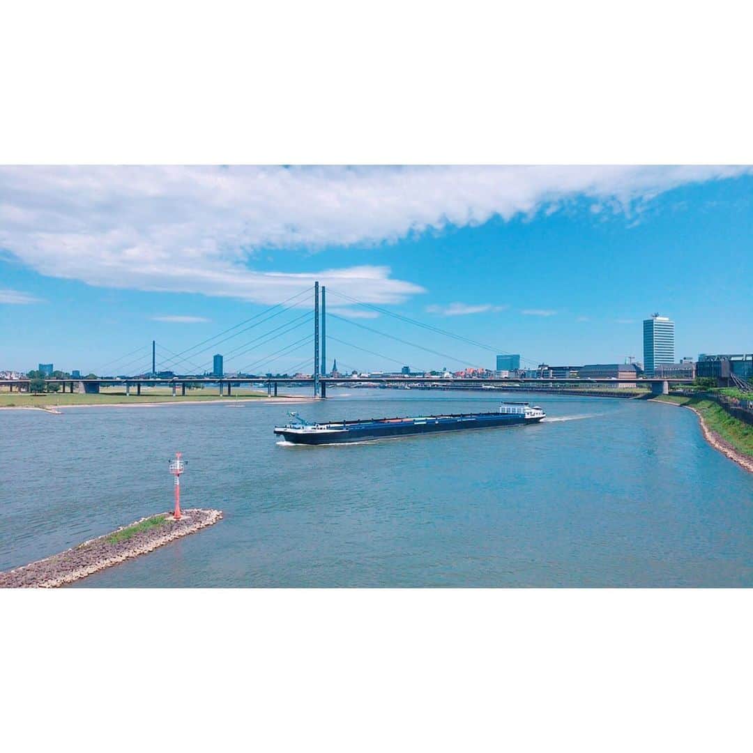 towanaさんのインスタグラム写真 - (towanaInstagram)「#Rhein #Rhine ライン川とその周辺はゆったりとして美しく、風がとても気持ち良かったです」6月13日 19時47分 - towana